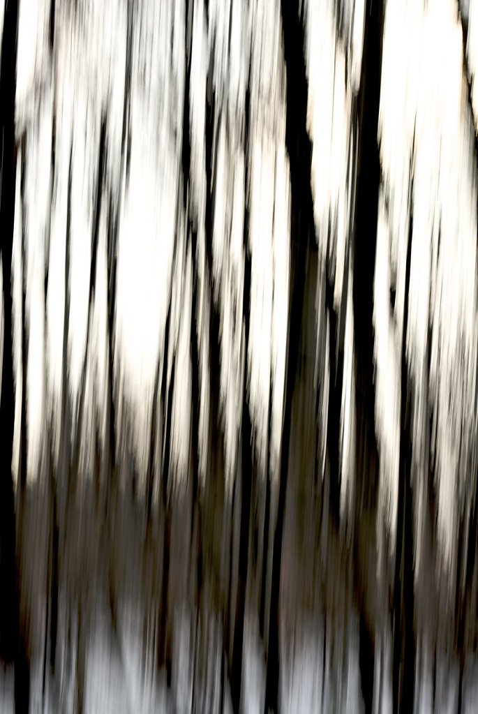 Trees