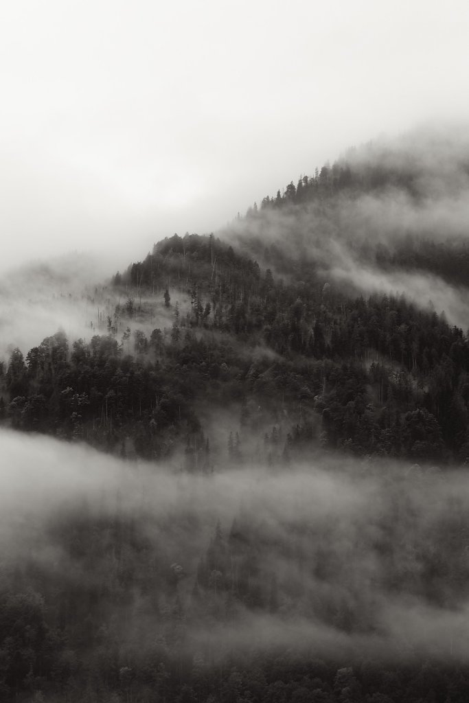 Nebel