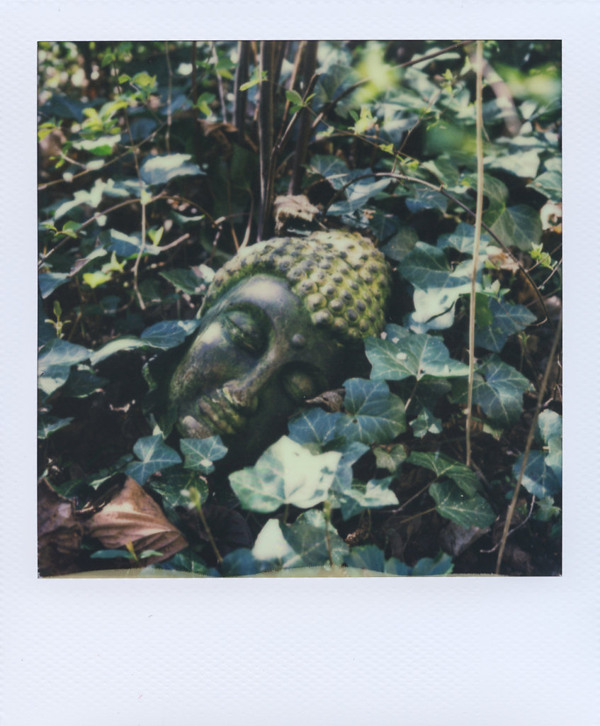 170402-Polaroid-003.jpg