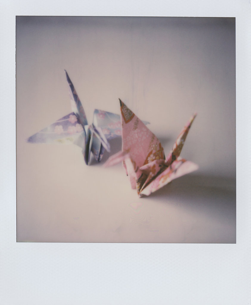 170814-Polaroid-003.jpg